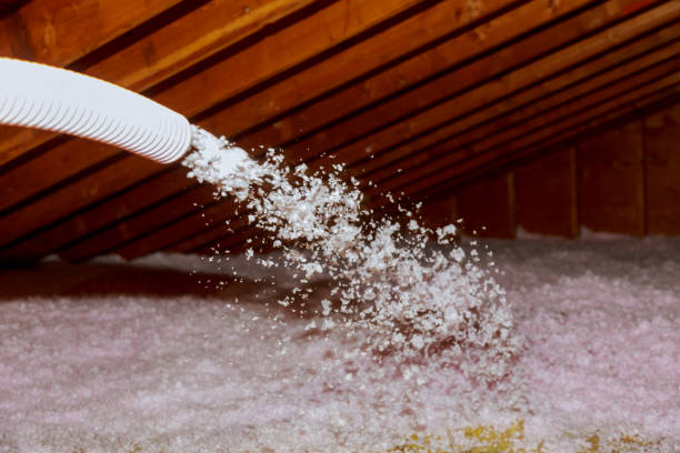 Best Eco-Friendly Insulation in Hickory Creek, TX
