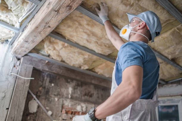 Best Residential Insulation in Hickory Creek, TX