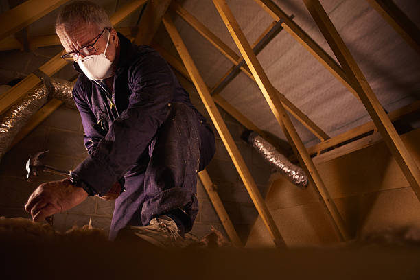 Best Cellulose Insulation in Hickory Creek, TX