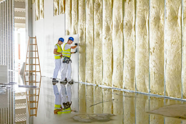 Best Insulation Maintenance and Repair in Hickory Creek, TX